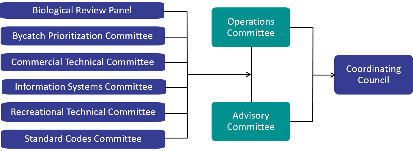committee_org_chart