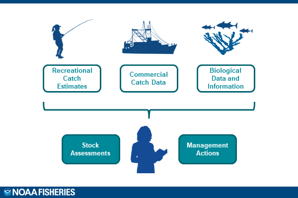 APAIS-at-a-Glance-Role-of-Recreational-Data+V2 APAIS-at-a-Glance-Role-of-Recreational-Data+V2