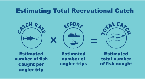 catch+estimate catch+estimate