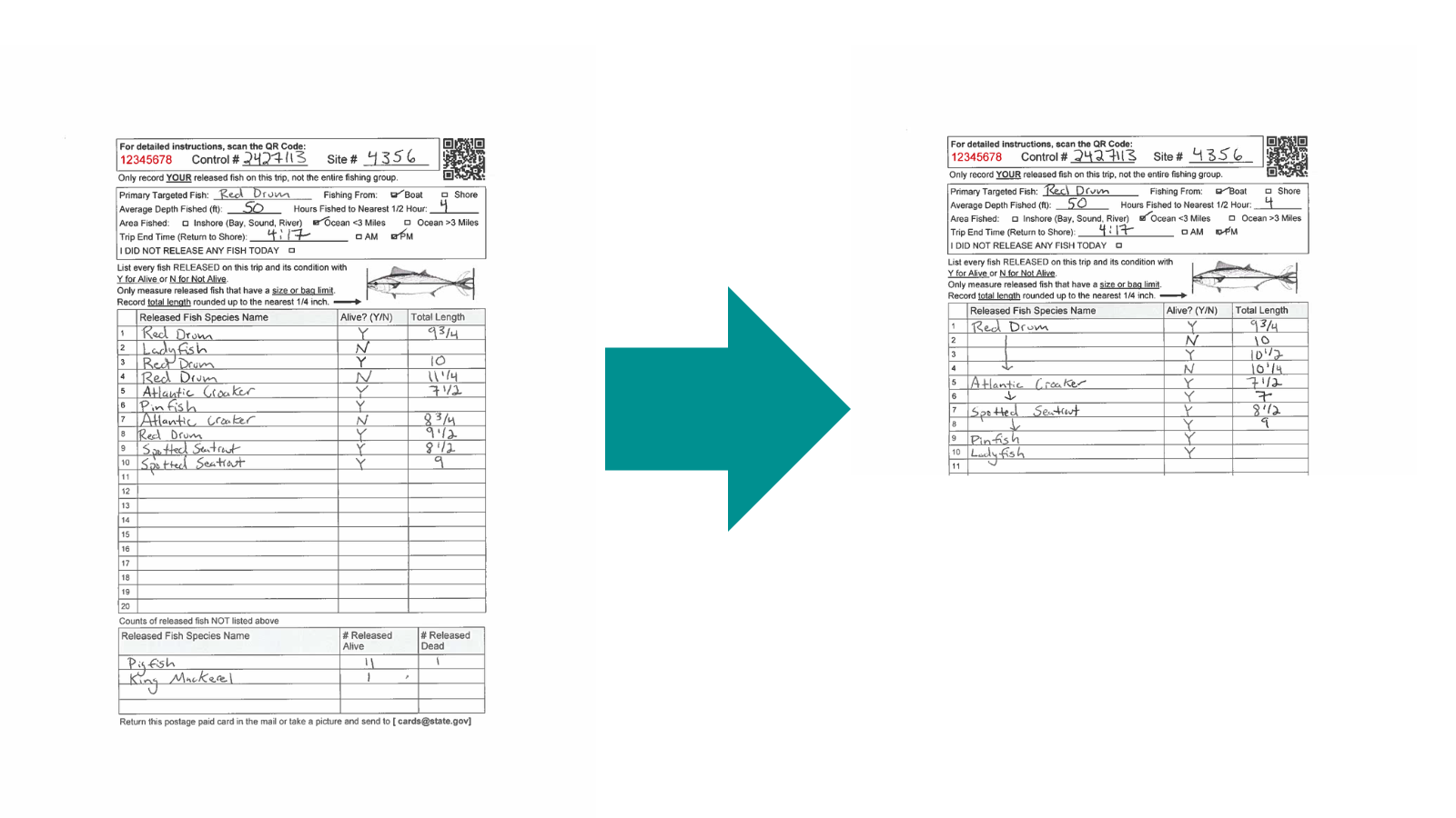 Example Catch Card Example Catch Card