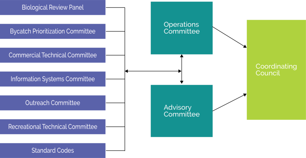 ACCSP Organization Chart copy_lrgr